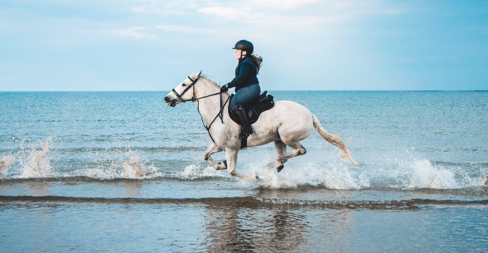 activités week-end camargue