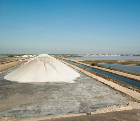 Marais salants en Camargue