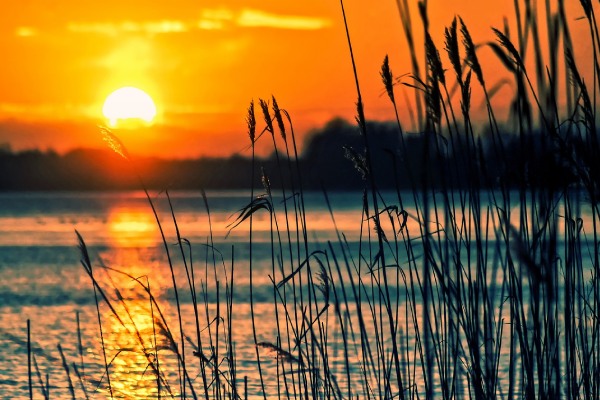 paysages de Camargue