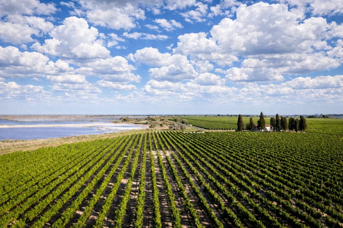 Le Domaine Royal de Jarras à Aigues-Mortes, une destination idéale pour les amoureux du Gard et de la nature.